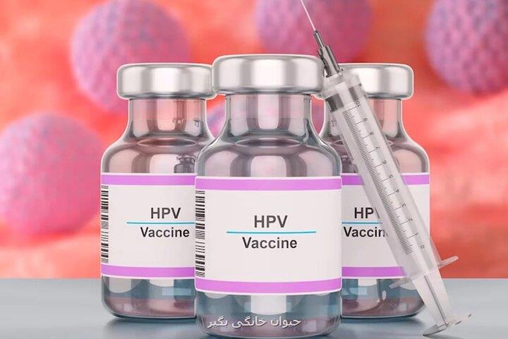 بازار سیاه واکسن HPV در اطراف داروخانه ها قیمت نجومی داروی تقلبی!